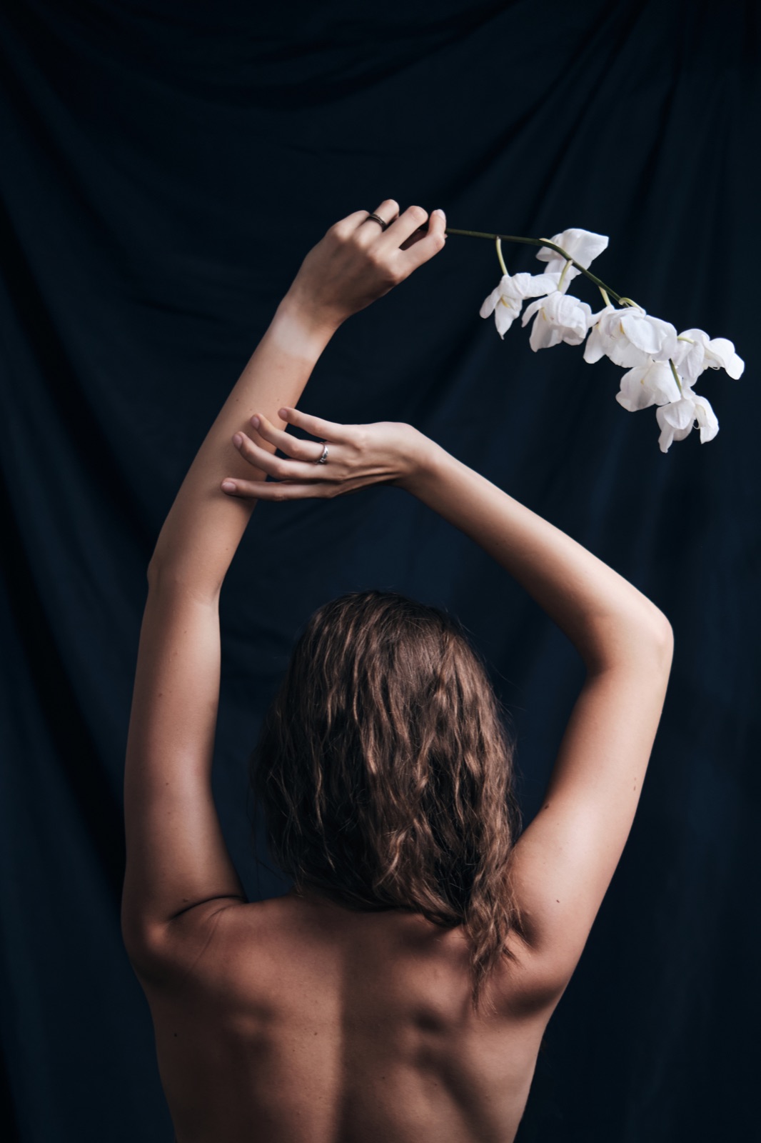 Living flowers and living photography at Botanical Exposure