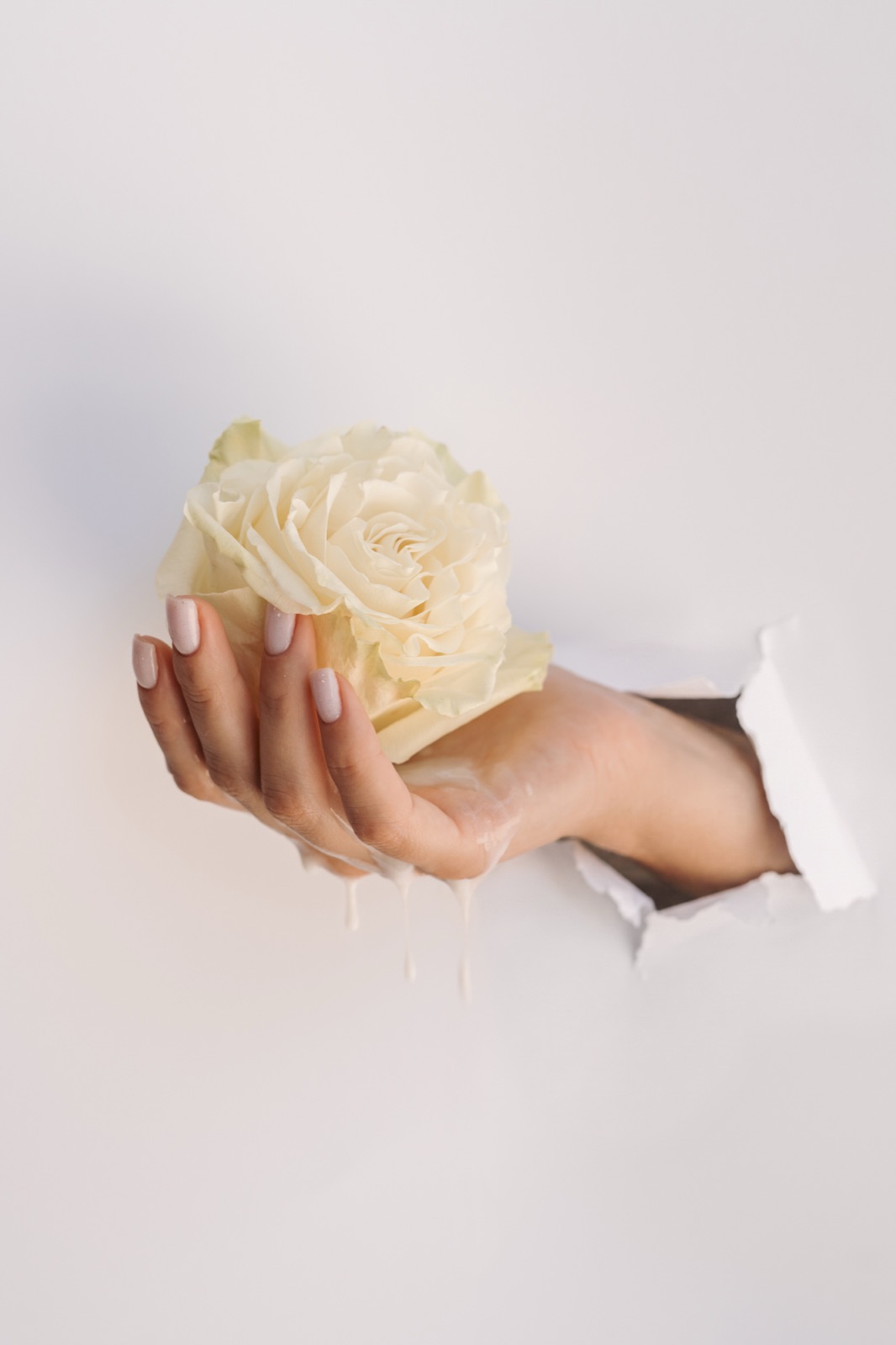 Pure Exposure — flowers and white background