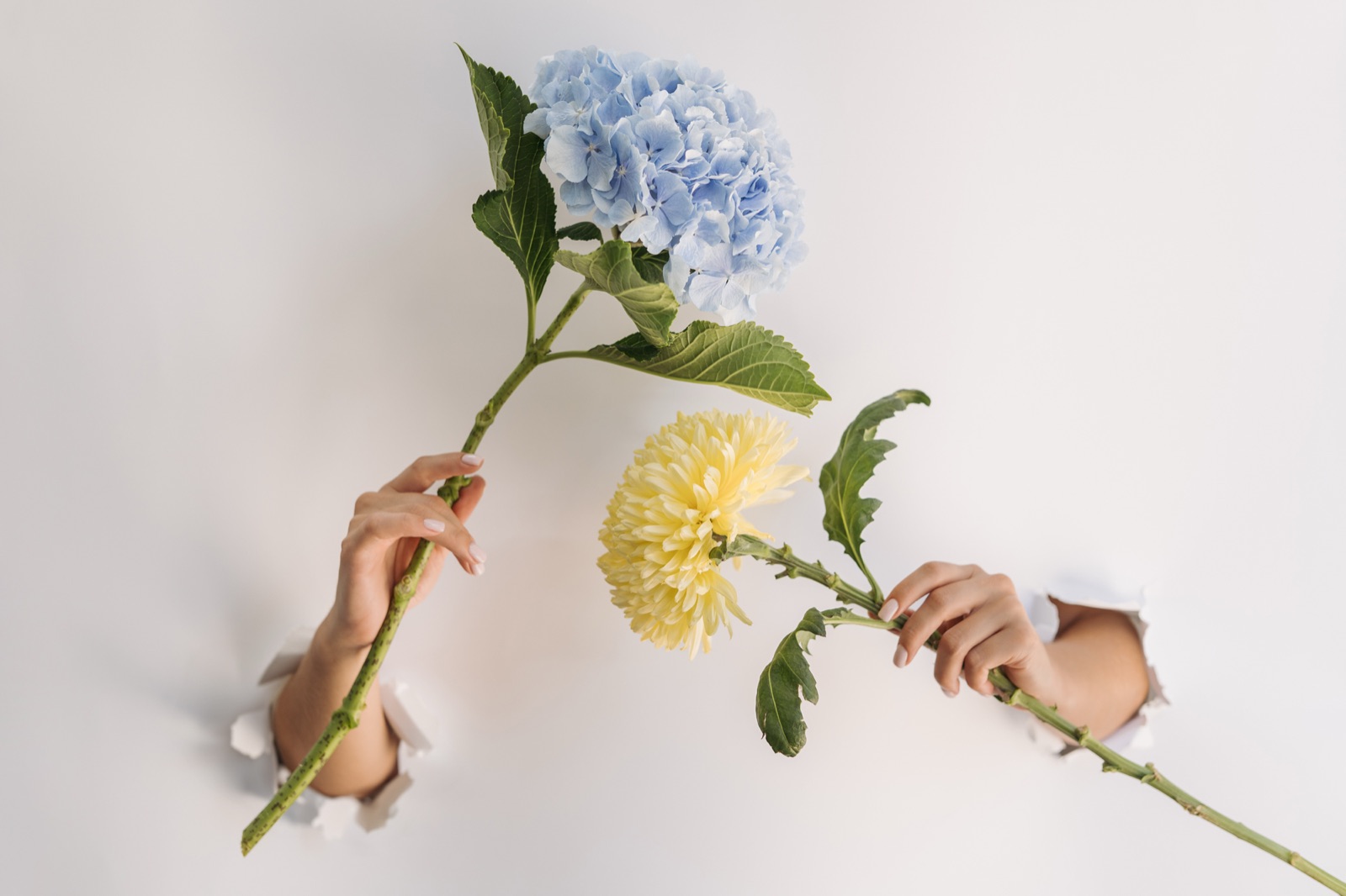 Works by Ekaterina Zubkova — Pure Exposure