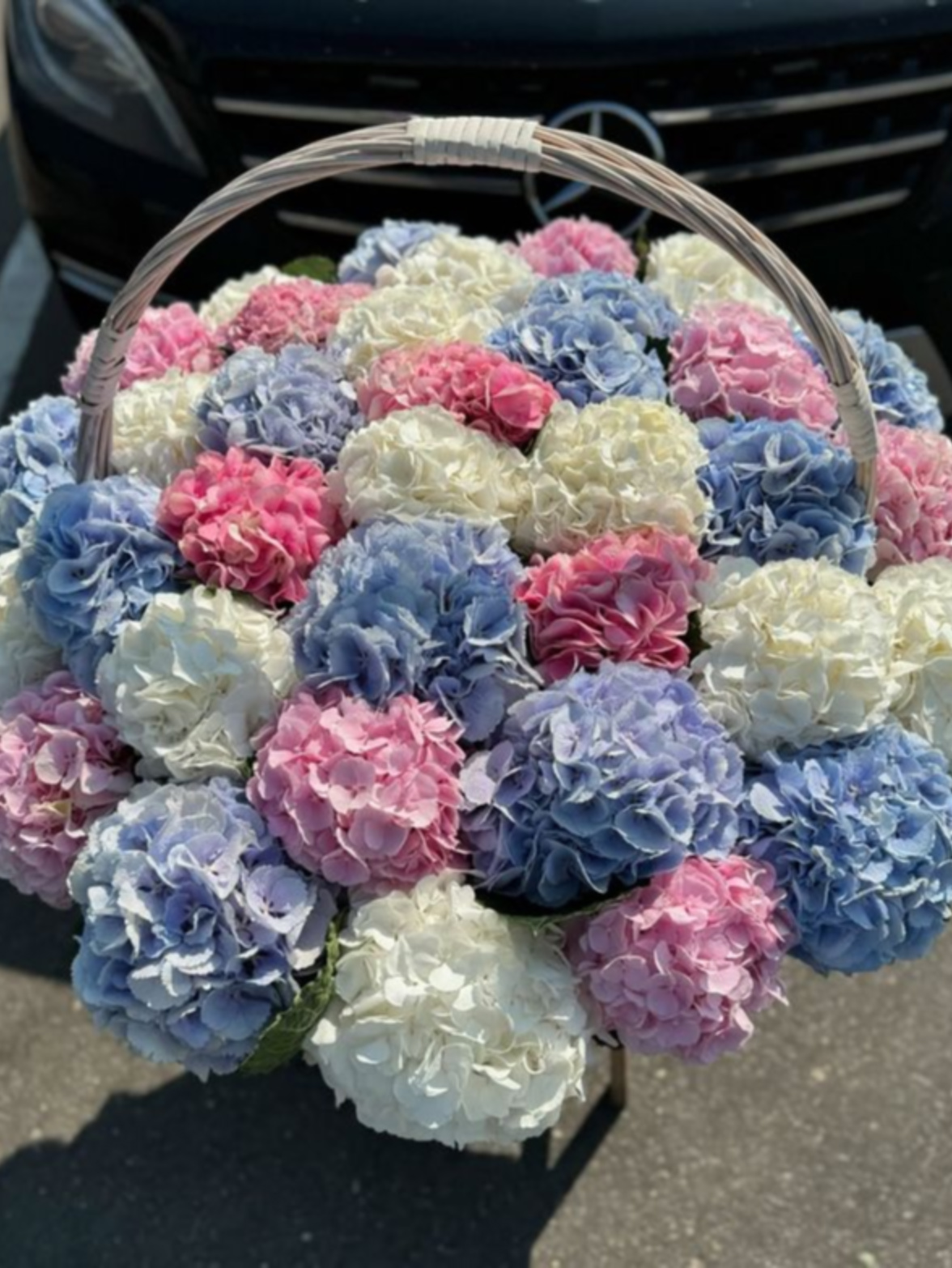 Panier Faste d'Hortensias