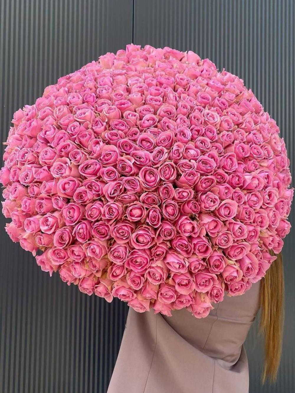 Méga bouquet de 301 roses roses « Triomphe Rose » sous ruban