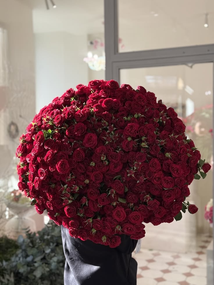 Immense bouquet de roses buisson rouges « Mirabel »